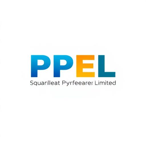 PPEL Power Plant Engineers Limited logo